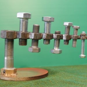 Stainless Steel Wood Screw Set